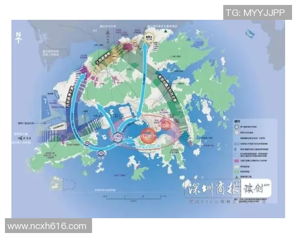 深圳排球队的战术创新与运营体系探讨