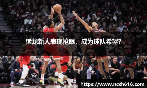 猛龙新人表现抢眼，成为球队希望？